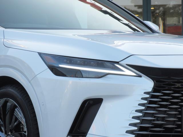 �O��t���k�d�c�w�b�h�����v�i���[�E�n�C�r�[���j���k�d�c�t�����g�^�[���V�O�i�������v