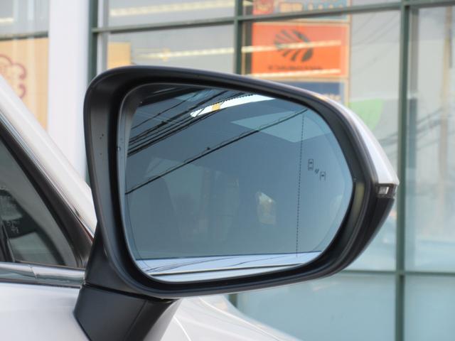 �u���C���h�X�|�b�g���j�^�[�i�a�r�l�j