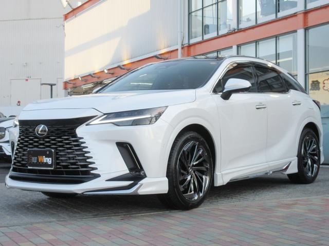 �{�f�B�J���[�F�\�j�b�N�N�H�[�c�i�O�W�T�j�@�Q�C�R�X�R��������S�C���C���^�[�N�[���[�t�^�[�{