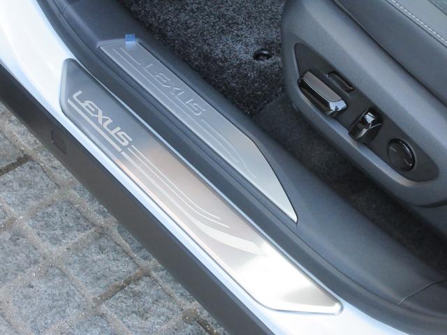 �X�J�b�t�v���[�g�i�k�d�w�t�r���S�j