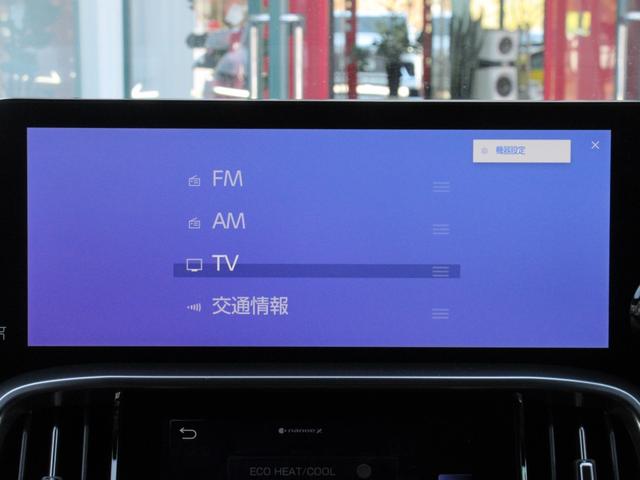 �n��f�W�^���s�u�`���[�i�[���A���e�i