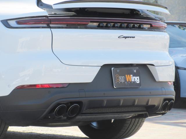 �I�v�V�����F�X�|�[�c�G�O�]�[�X�g�V�X�e���i�X�|�[�c�e�[���p�C�v�F�_�[�N�u�����Y�j