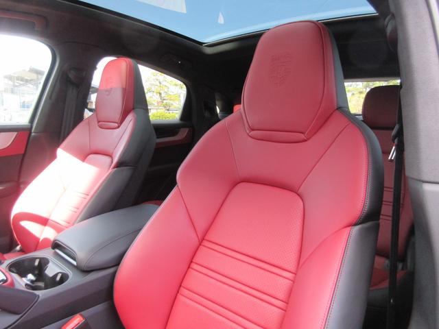 �I�v�V�����F�|���V�F�N���X�g�w�b�h���X�g�i�t�����g�j