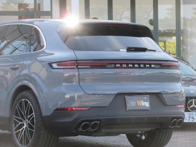 �I�v�V�����F�X�|�[�c�e�[���p�C�v�i�V���o�[�j