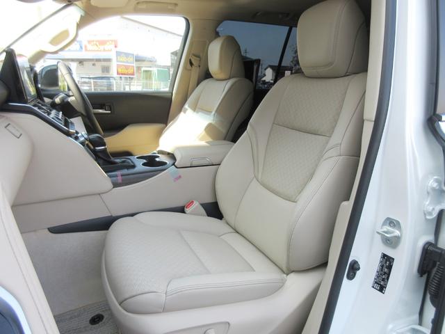 �V�[�g�\��F�{�v