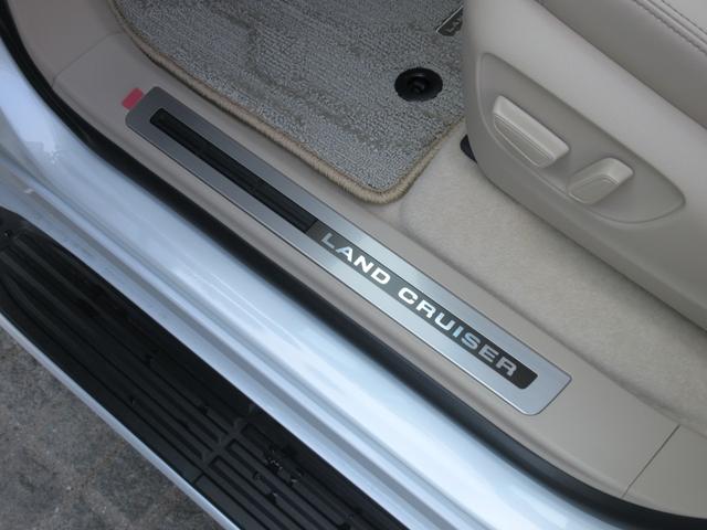 �X�e�����X�h�A�X�J�b�t�v���[�g�i�t�����g�Ԗ����S����j