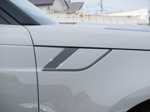 �r�u�J�[�{���t�@�C�o�[�G�N�X�e���A�p�b�N�i�O���X�c�C���J�[�{���j