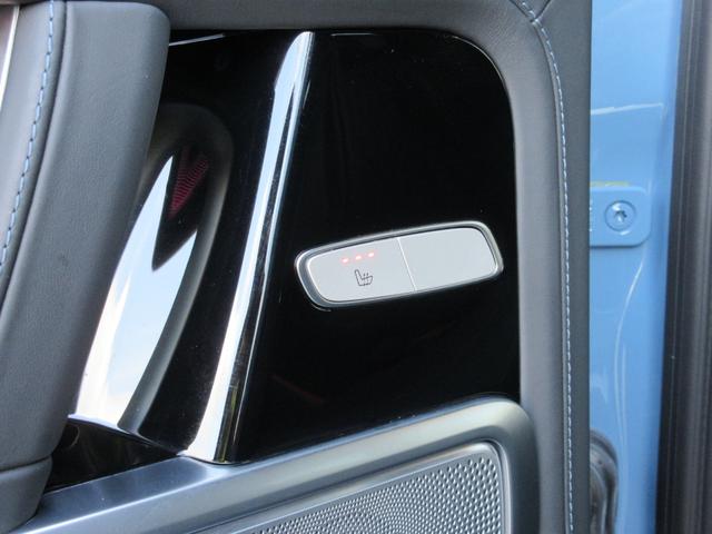 Ｇ４００ｄ　プロフェッショナルエディション　限定２００台（左Ｈ／ヴィンテージブルー）　プロフェッショナルルーフラック＆ラダー＆スペアタイヤホルダー　ＡＭＧナイトＰＫＧ＆ナイトＰＫＧＩＩ　純正ドライブレコーダー（画像32）