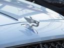 オプション:イルミネートFlying Bラジエーターマスコット