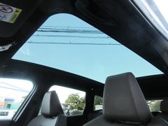 �ͥ��󥽥饸�åȥ롼�ե饤�˥� 6