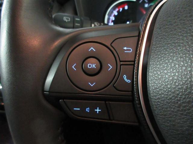 RAV4 G Zパッケージ 4WD メモリーナビ バックカメラ 衝突被害軽減システム ETC LEDヘッドランプ ワンオーナー 記録簿(20枚目)