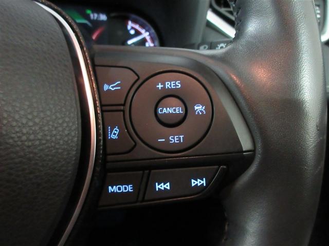 RAV4 G Zパッケージ 4WD メモリーナビ バックカメラ 衝突被害軽減システム ETC LEDヘッドランプ ワンオーナー 記録簿(21枚目)