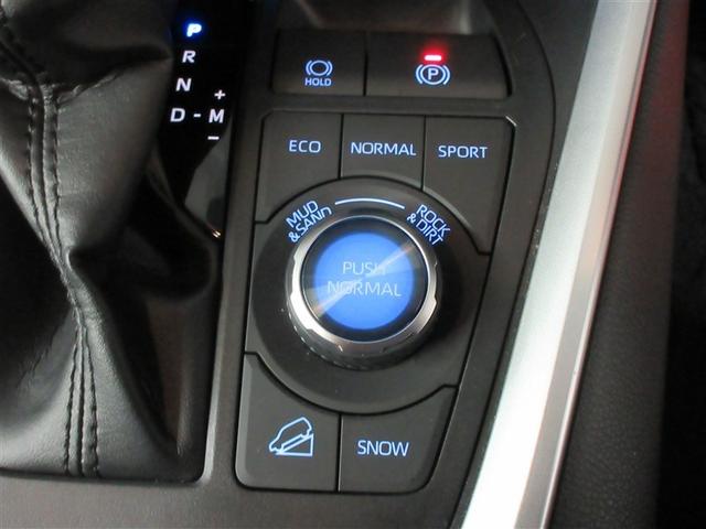 RAV4 G Zパッケージ 4WD メモリーナビ バックカメラ 衝突被害軽減システム ETC LEDヘッドランプ ワンオーナー 記録簿(27枚目)