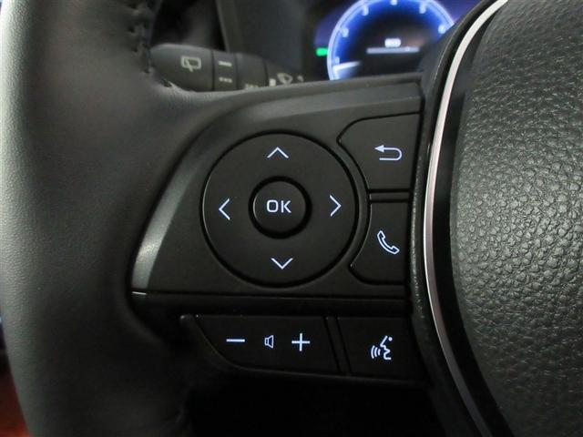 ＲＡＶ４ アドベンチャー　４ＷＤ　メモリーナビ　バックカメラ　衝突被害軽減システム　ＥＴＣ　ドラレコ　ＬＥＤヘッドランプ　ワンオーナー　記録簿（21枚目）