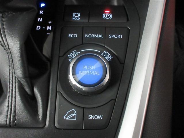 ＲＡＶ４ アドベンチャー　４ＷＤ　メモリーナビ　バックカメラ　衝突被害軽減システム　ＥＴＣ　ドラレコ　ＬＥＤヘッドランプ　ワンオーナー　記録簿（27枚目）