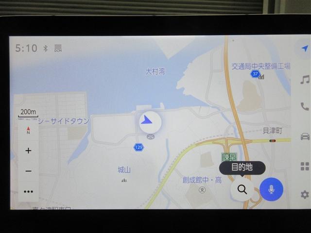 �����i�r�ŁA����Ȃ�������������S�B