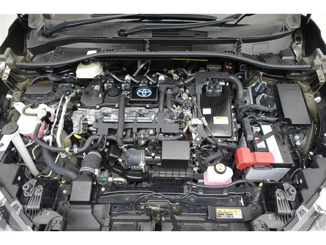 ���G���W�����[�����N���|�j���O�ς݁I�z�R����D�A�I�C������𗎂Ƃ��Ă��璚�J�ɐ�򂵂܂����I�����̂Ƃ���s�J�s�J�ł��I