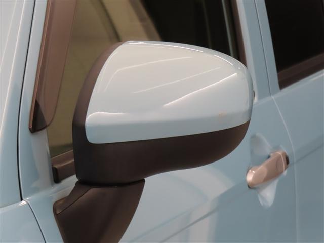 �{�f�B���F�̃h�A�~���[�ł������ł��ˁI