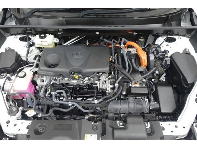 ���G���W�����[�����N��-�j���O�ς݁I�z�R����D�A�I�C������𗎂Ƃ��Ă��璚�J�ɐ�򂵂܂����I�����̂Ƃ���s�J�s�J�ł��I