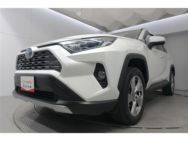 �t-�b�����͂��ׂē������̂�������_���ƂȂ��Ă��܂��B���̂��ߋC�ɂȂ邨�N���}������܂����炨���߂ɂ��A������������