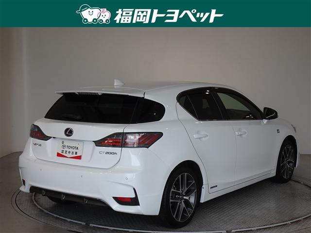 色は人気のホワイトノーヴァガラスフレークです。