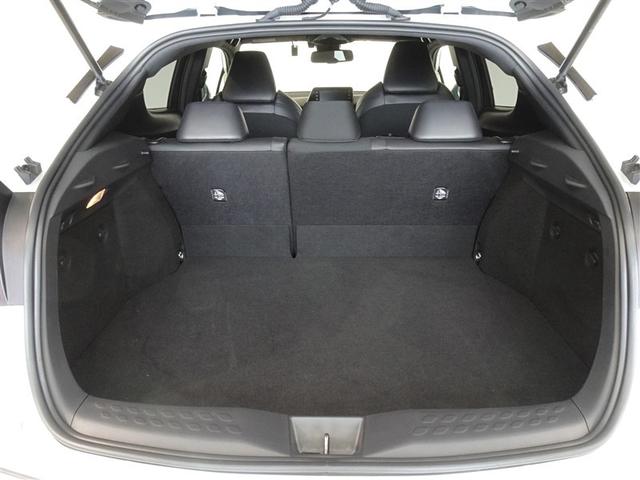 �T�l��Ԏ��ł��\���ȃX�y�[�X�̃g�����N���[���ł��B