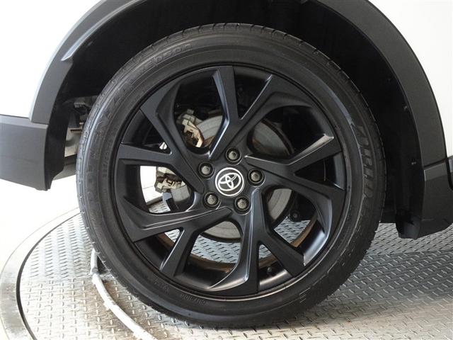 �������Ƒ����������������A�����A���~�𑕔����Ă��܂��B