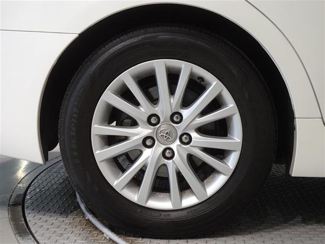 �������Ƒ����������������A�����A���~�𑕔����Ă��܂��B