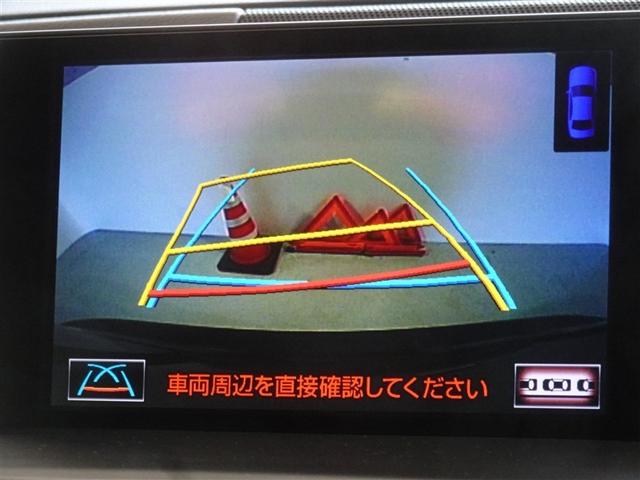 �o�b�N�K�C�h���j�^�[�𑕔����Ă��܂��A�Ԍɓ�������N���N�ł��B