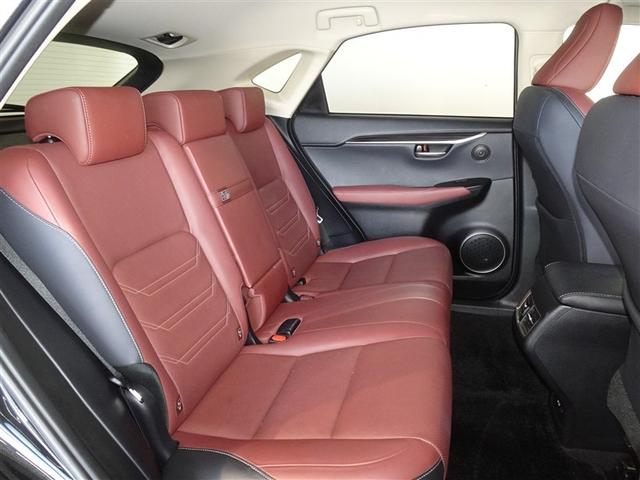 �l�̐G���V�[�g�͔O����ɐ��|�E���L�����{���Ă���܂��B