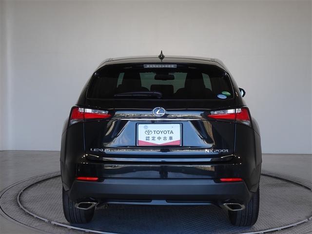 �c�J���̃o�b�N�h�A�ł��A�J�̓����G��ɂ����ł���B