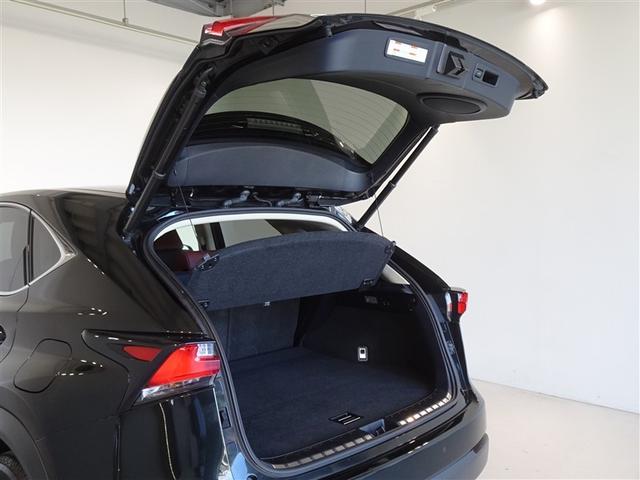 �o�b�N�h�A���J������Ԃł��B