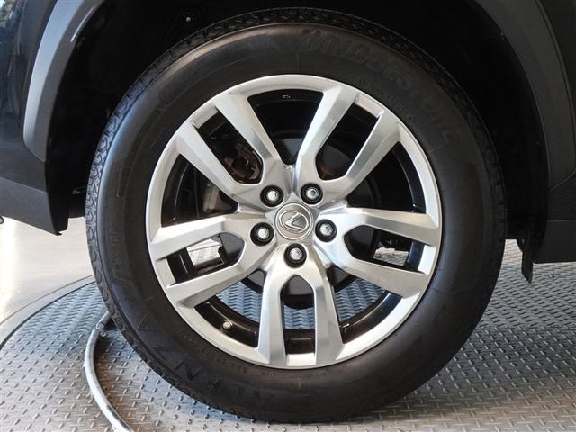 �������Ƒ����������������A�����A���~�𑕔����Ă��܂��B