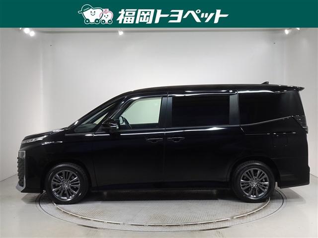 �g���^�̐l�C�~�j�o���A���H�N�V�[�n�C�u���b�h�@�r�|�f�����ׂ��܂����B�W�l���ł��B