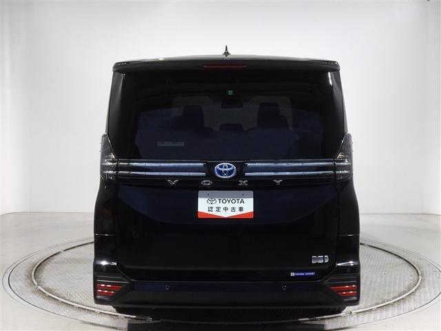 �c�J���̃o�b�N�h�A�ł��A�J�̓����G��ɂ����ł���B