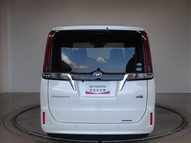 �c�J���̃o�b�N�h�A�ł��A�J�̓����G��ɂ����ł���B