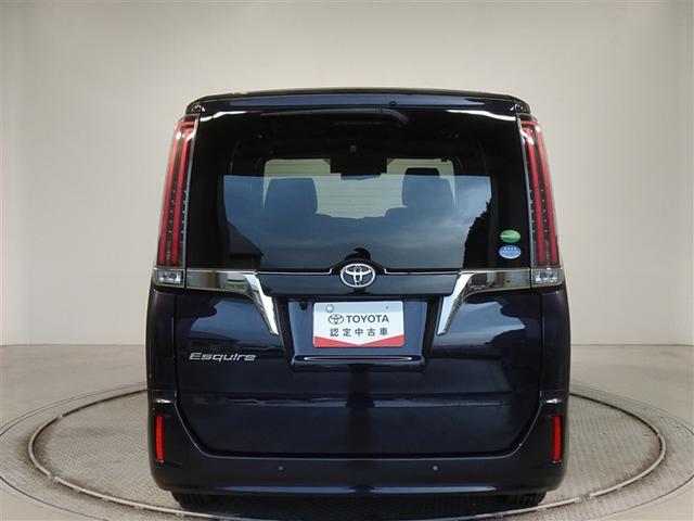 �c�J���̃o�b�N�h�A�ł��A�J�̓����G��ɂ����ł���B