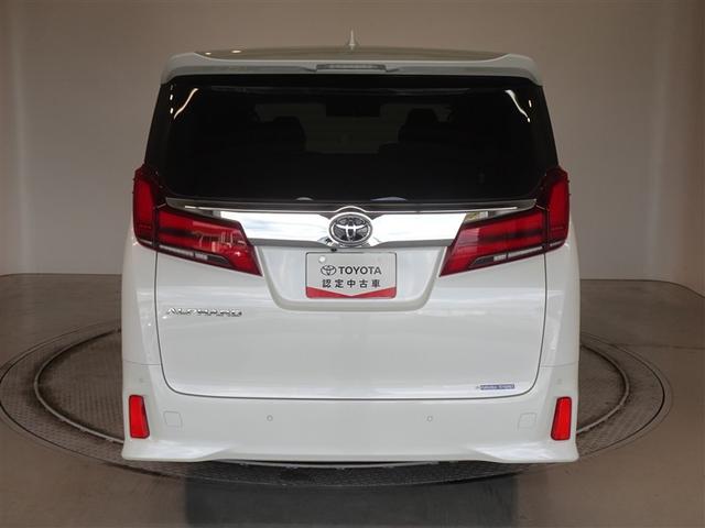 �c�J���̃o�b�N�h�A�ł��A�J�̓����G��ɂ����ł���B