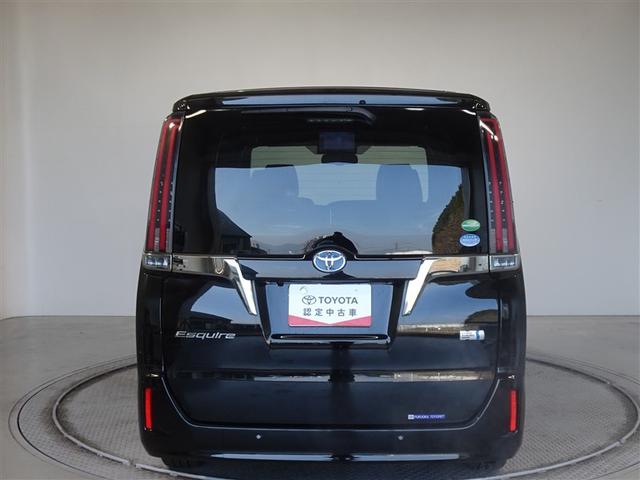 �c�J���̃o�b�N�h�A�ł��A�J�̓����G��ɂ����ł���B