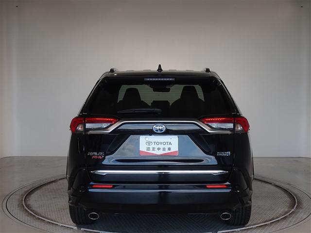 �c�J���̃o�b�N�h�A�ł��A�J�̓����G��ɂ����ł���B