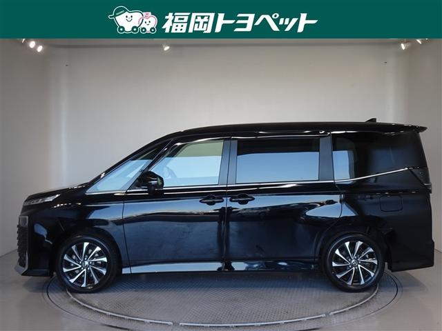 �g���^�̂V�l�̂�~�j�o���A���H�N�V�[�n�C�u���b�h�@�r�|�y�����ׂ��܂����B