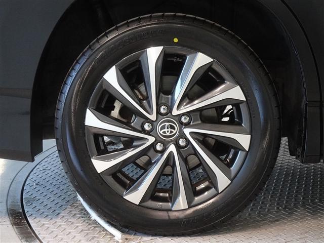 �������Ƒ����������������A�����A���~�𑕔����Ă��܂��B