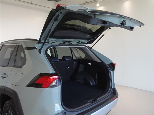 �o�b�N�h�A���J������Ԃł��B