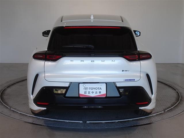 �c�J���̃o�b�N�h�A�ł��A�J�̓����G��ɂ����ł���B