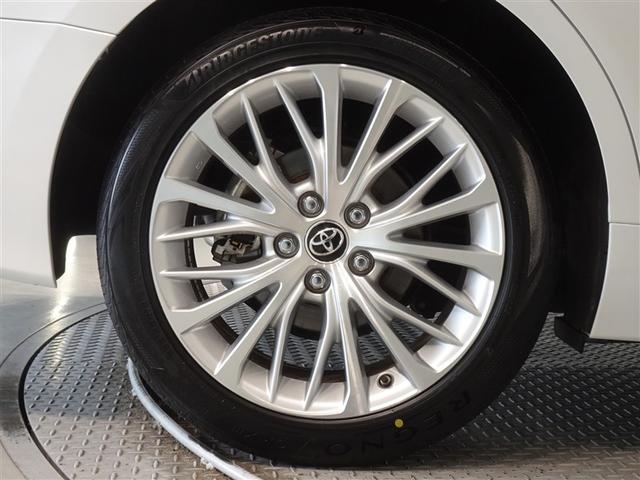 �������Ƒ����������������A�����A���~�𑕔����Ă��܂��B