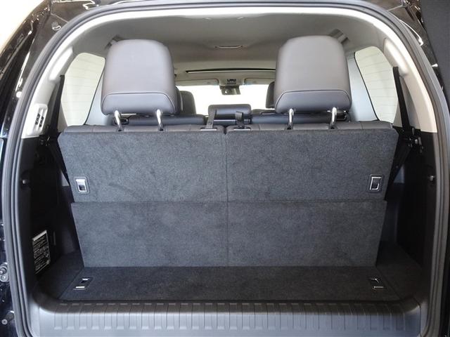 �V�l��Ԏ��̃g�����N���[���ł��A�R���p�N�g�ł�������g���Ȃ�\���ȃX�y�[�X�ł��B