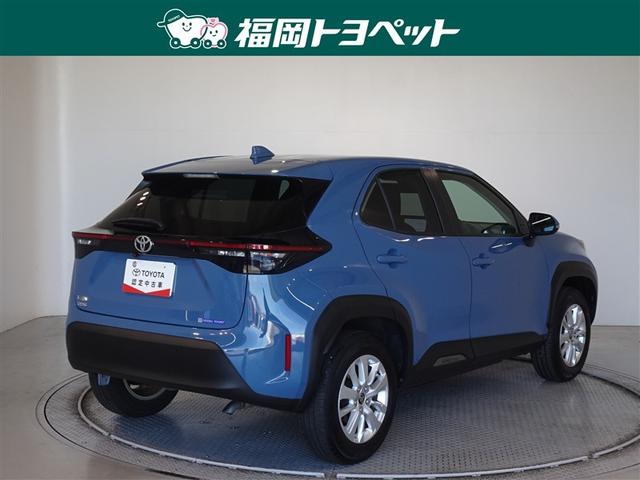 �F�͂��ꂢ�ȃO���C�b�V���u���[�ł��B