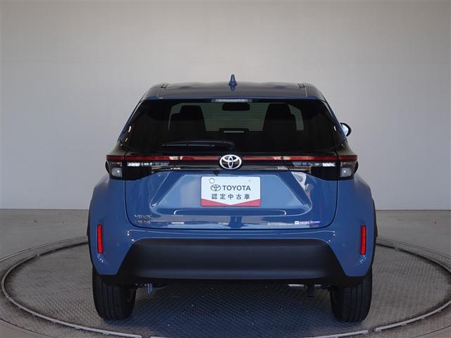 �c�J���̃o�b�N�h�A�ł��A�J�̓����G��ɂ����ł���B