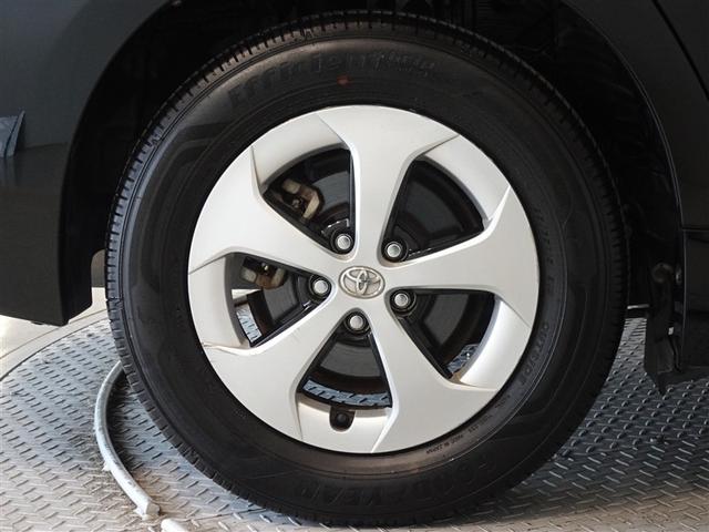 �������Ƒ����������������A�����A���~�𑕔����Ă��܂��B