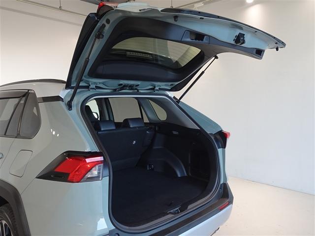 ＲＡＶ４ アドベンチャー　衝突被害軽減システム　メモリーナビ　フルセグ　バックカメラ　ＥＴＣ　ＬＥＤヘッドランプ　４ＷＤ　スマートキー（22枚目）